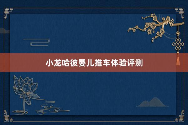 小龙哈彼婴儿推车体验评测